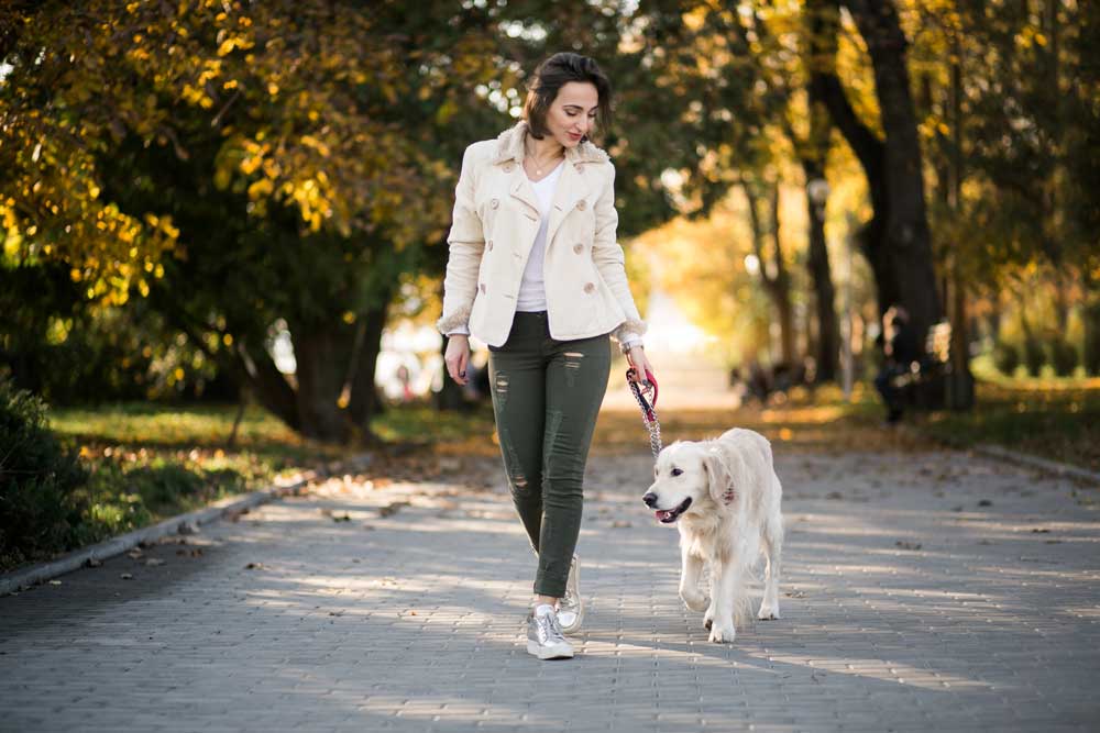 donan cammina felice nel parco con il cane per dimagrire