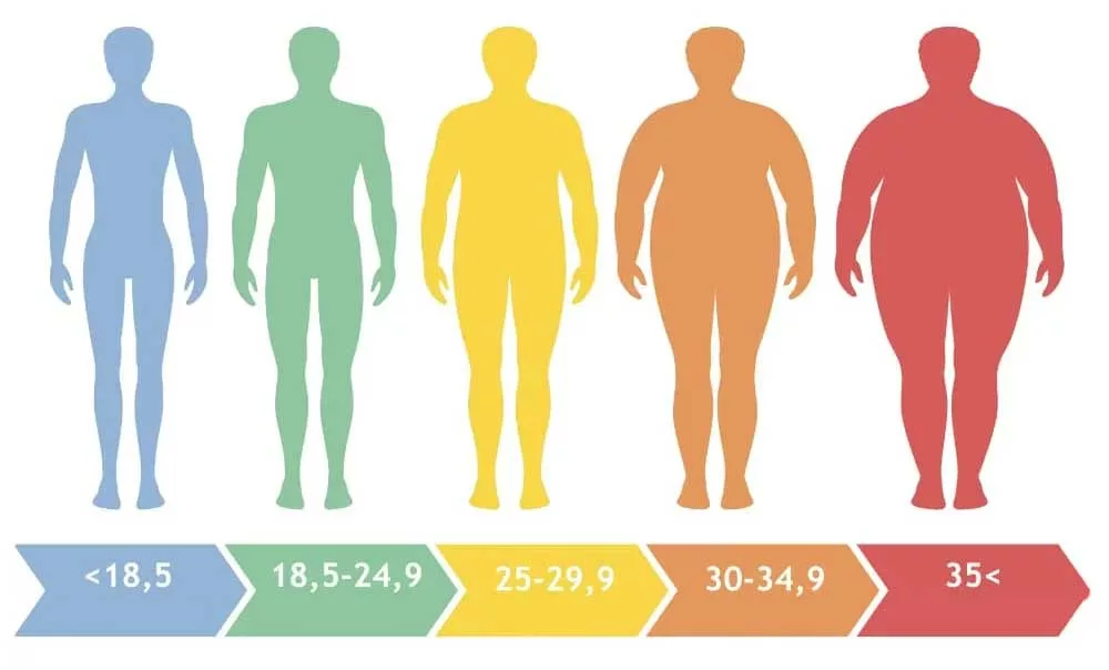 Percentuale di grasso corporeo e salute
