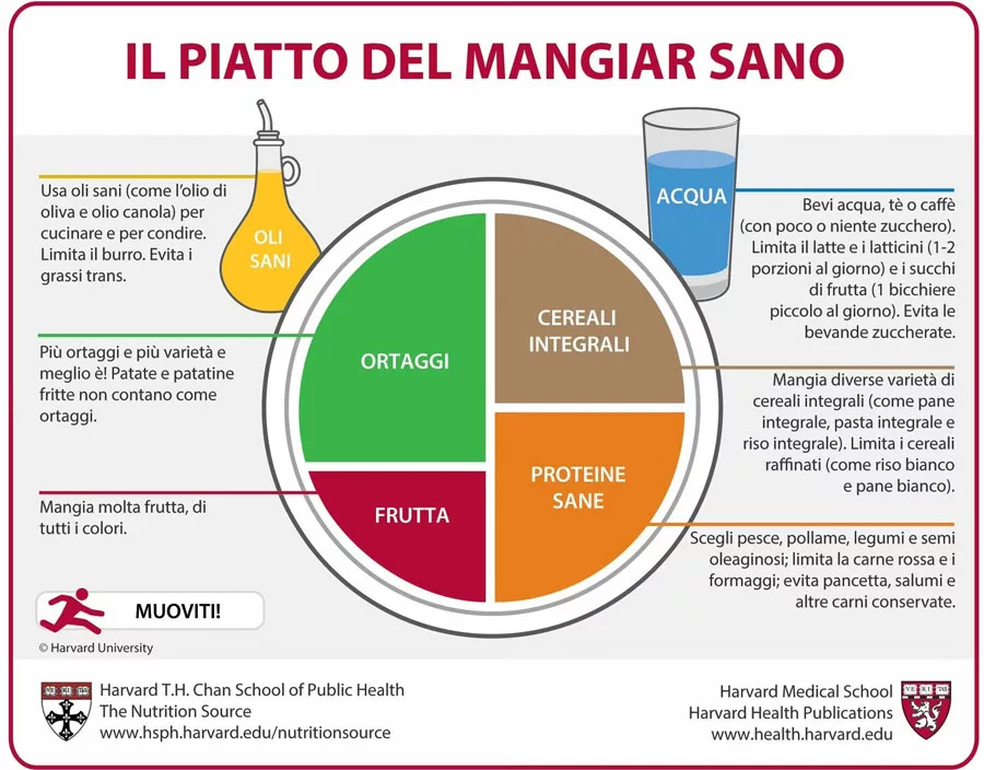 piatto unico Harvard composto da ortaggi frutta cereali e proteine
