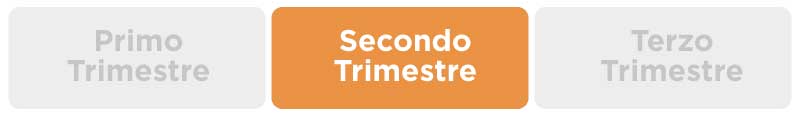 Sport in gravidanza nel secondo trimestre