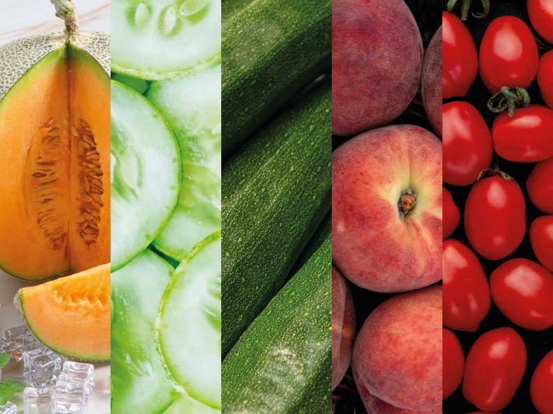 melone cetriolo zucchina pesca pomodoro gli alimenti più dissetanti di giugno